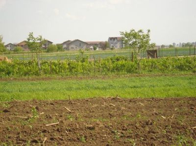 Com Berceni intrare 353/mp 6.800 Euro