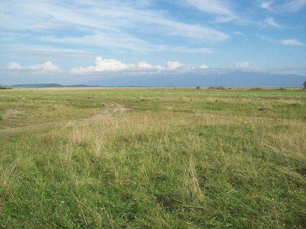 Vand teren in Bals zona Padurea Sarului
