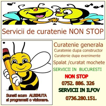  Servicii de curatenie, spalat/curatat mochete