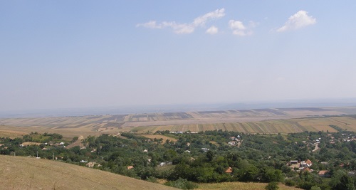Vand teren agricol extravilan in Fundatura- Arsura, jud. Vaslui