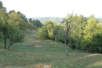 VAND teren intravilan 4500 mp