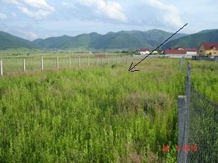 Vand teren Orlat-Sibiu