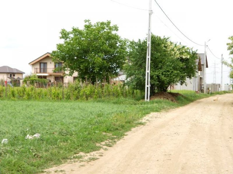De vanzare in ComBerceni Ilfov teren intravilan 