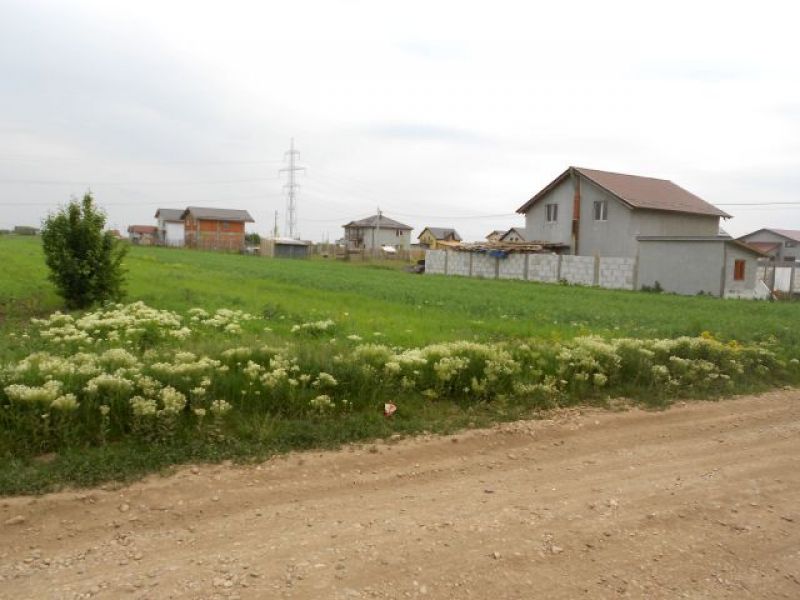 Particular vand terenuri de case in Berceni Ilfov