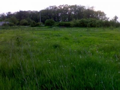 Teren Corbeanca langa padure 