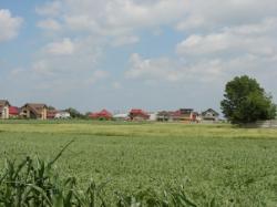 Teren intravilan de vanzare, 2.500 mp, lot compact, in Ciorogarla