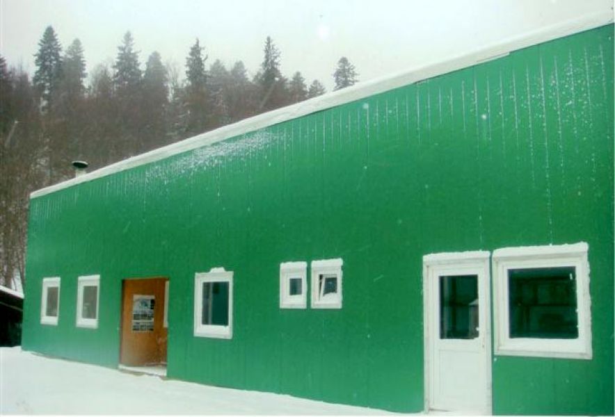 Inchiriere imobil Predeal
