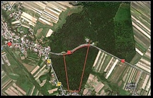 Vand Padure, 5HA. Locatie foarte Buna, pret avantajos