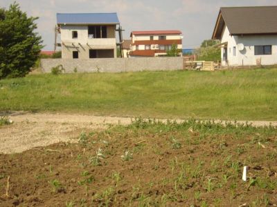 Comuna Berceni loturi 350 mp de vanzare