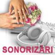 Mykmedia SONORIZARI muzica nunta, sonorizari, efecte lumini, staroste, MC, DJ, servicii nunti