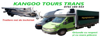 Transport marfa auto intern international