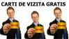 Carti de vizita color gratis