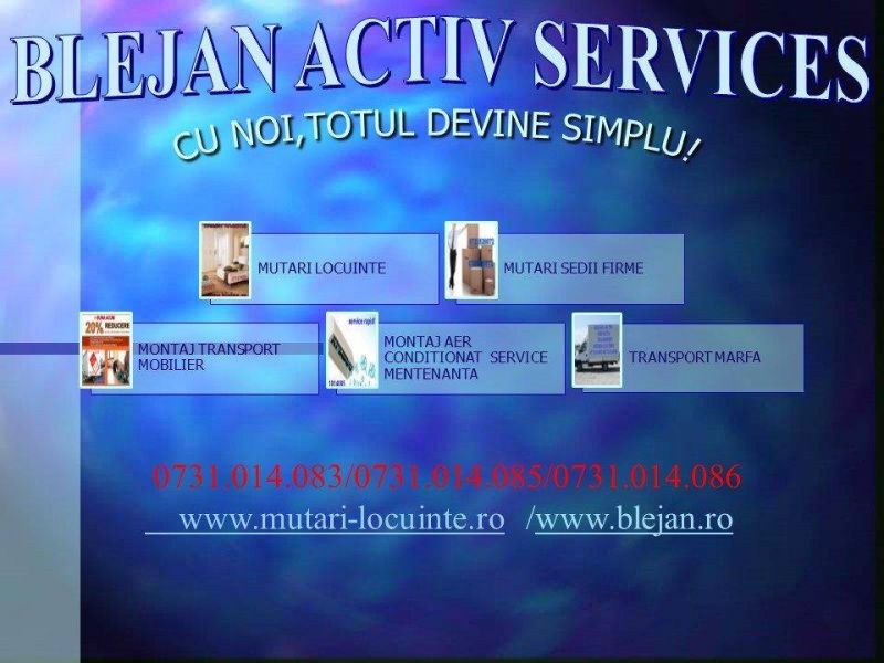Servicii pentru casa si firma ta