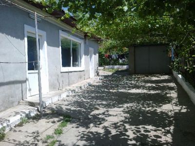 Vand urgent teren si casa Cernica