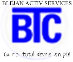 Relocari diverse si transport