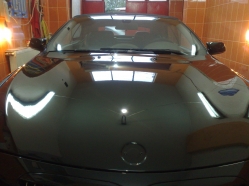 POLISH PROFESIONAL