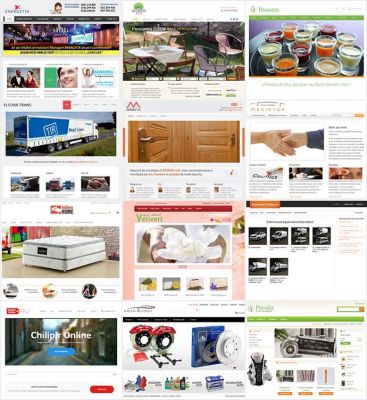 Site Profesional de Prezentare