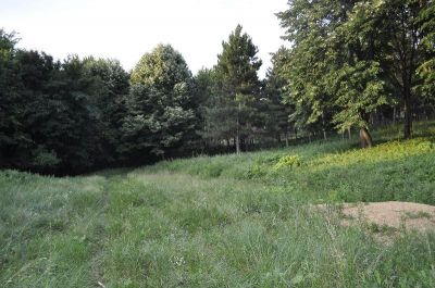 Teren in zona unui parc natural