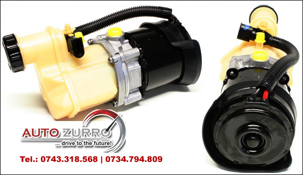 Reparatii pompe servo CLIO KANGOO  