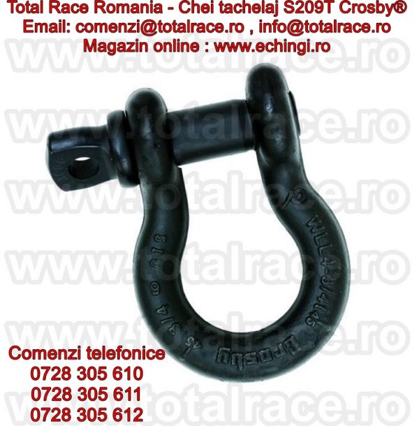 Chei tachelaj, chei tachelaj omega, gambeti teatru S209T Total Race 