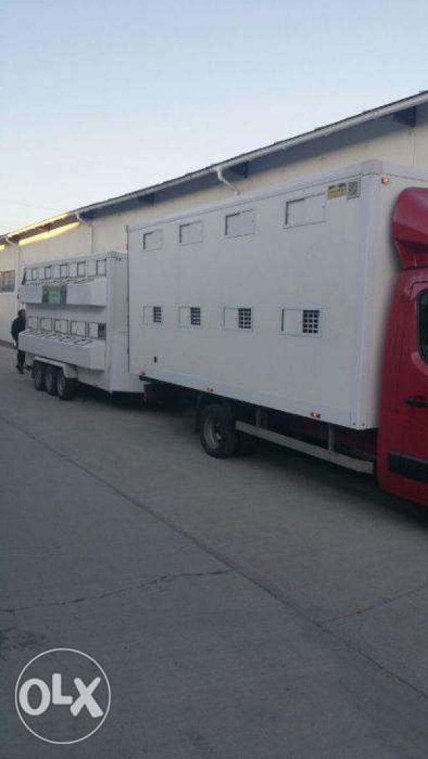 Efectuez transport de animale vii