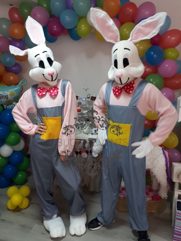 Mascota Iepuras Paste Constanta  0762838354