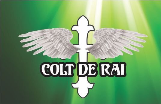 Funerare, inmormantare, cruci, sicrie, coroane, decese, transport decedati, sicriu social, pompe fun