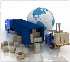 Relocari interne si internationale