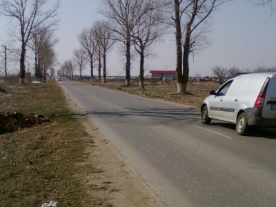 Loturi Comuna Berceni 320/mp
