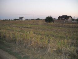 Proprietar vand loturi 500,600,1000/mp