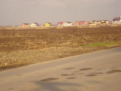 Loturi Comuna Berceni 320/mp