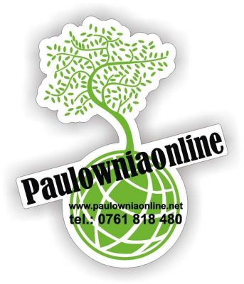 totul despre paulownia