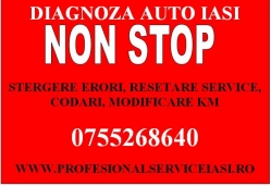 Diagnoza auto Iasi