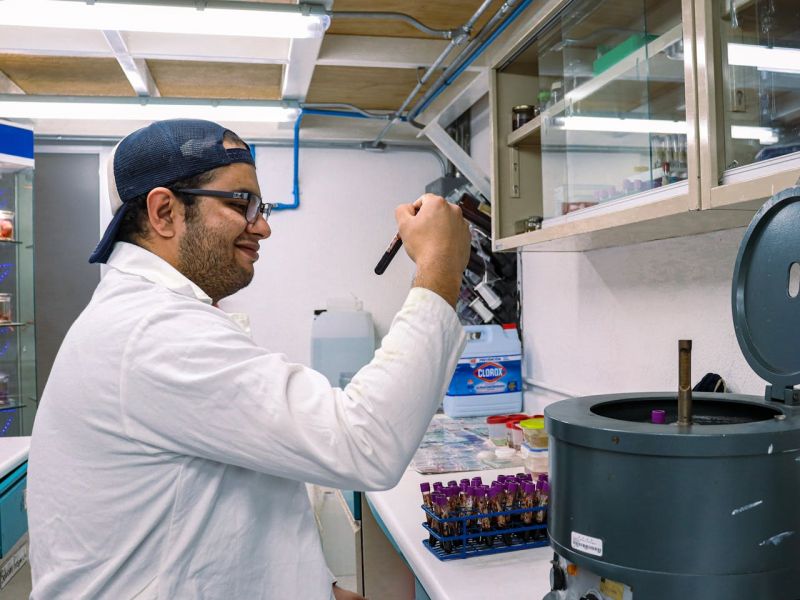 Comanda online pachete complete de analize