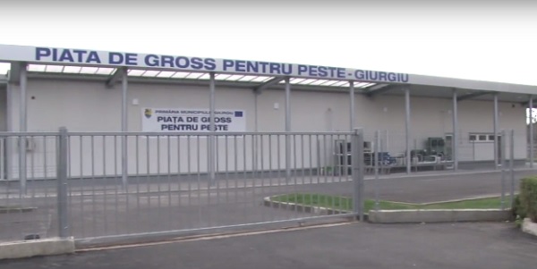 Inchiriere depozite frig pentru peste si produse din peste