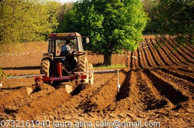 Obtine fonduri nerambursabile in domeniul Agricultura