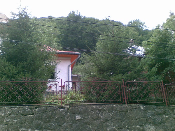 Vand casa in Sinaia
