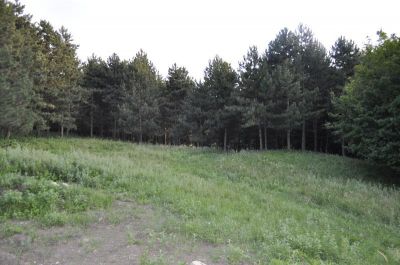 Teren in zona unui parc natural