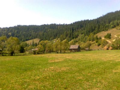 Vand teren extravilan jud. Harghita,Corbu,Borsec, 20000 m2 , deschidere 200 m