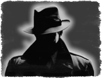 Detectivi Particulari