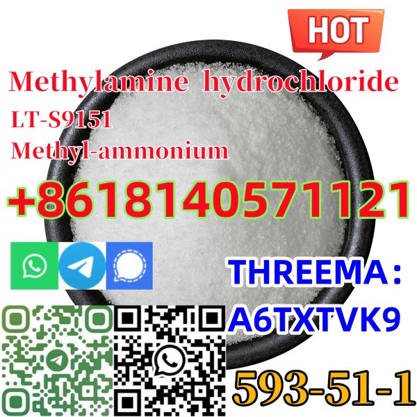 Buy 99% purity Methylamine Hydrochloride cas 593�51�1 for Pharmaceutical�20 GEL