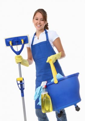    Servicii curatenie