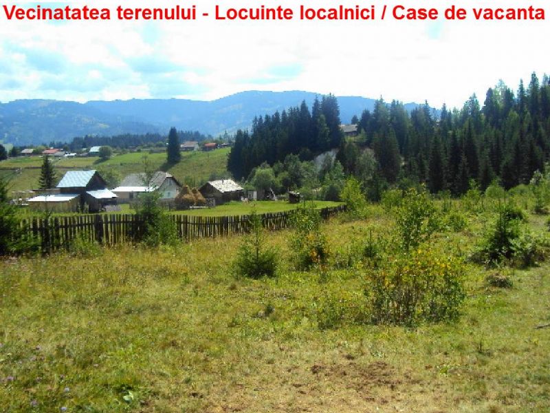 Vatra Dornei - Neagra Sarului  - teren 6500 mp sau suprafete de 1500 � 3000 mp ( parcelat )