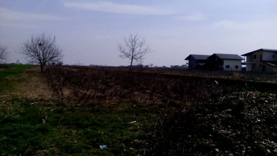 393mp utili teren intravilan de vanzare,ComBerceni