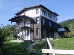 DE VANZARE CASA-VILA, 11 CAMERE, ZONA VISEU DE SUS