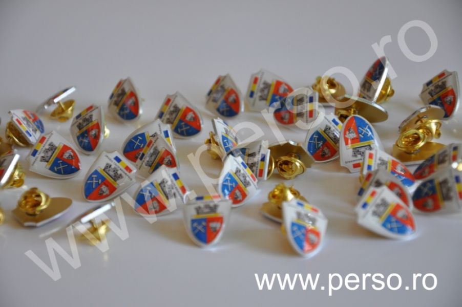 Insigne cu pin,pins-uri,pinuri