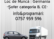 Soferi camion