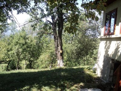 De vanzare casa 3 camere + teren  - zona sat Poiana Comarnic, Jud Prahova