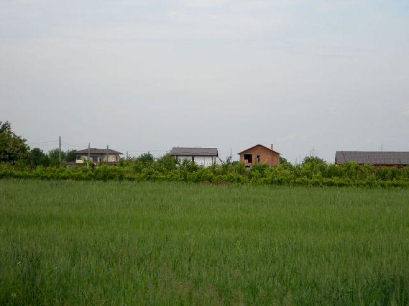 Teren Berceni Ilfov, Proprietar vand loturi teren