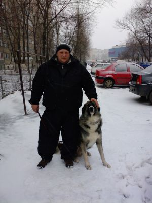 CEL MAI BUN DRESAJ CANIN